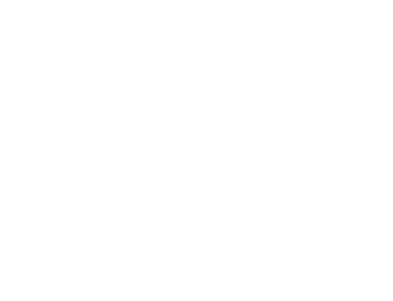 ПК Мамир